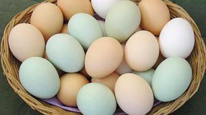 Россельхознадзор не пустил в Крым 300 тысяч яиц из Городищенского района