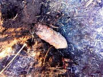 Черкаський район: на місці пожежі знайдено артилерійський снаряд