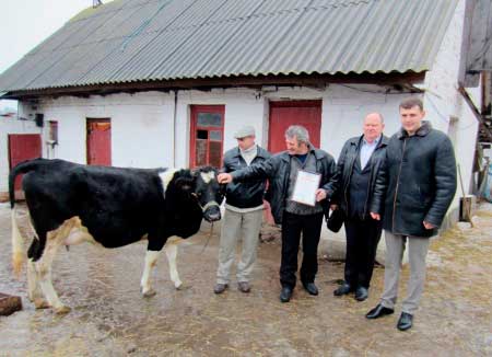 Программа развития молочного скотоводства