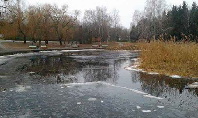 Микола Бондаренко прокоментував випадок у парку «Перемога»