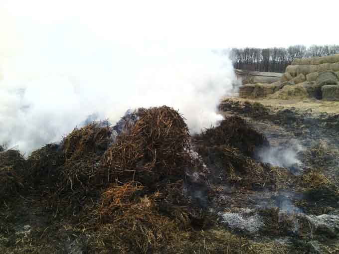 У Христинівському районі хтось підпалив 700 тон соломи (відео)