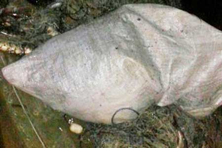 На Черкащині за незаконний вилов риби чоловіка буде притягнуто до кримінальної відповідальності