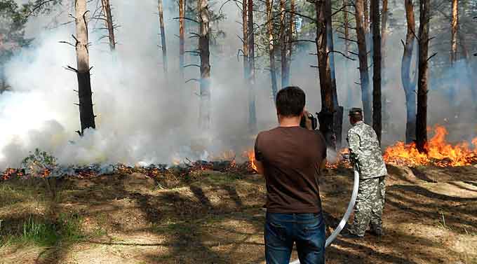 Лісівники Черкащини занепокоєні збільшенням кількості пожеж у лісових масивах