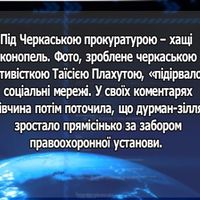 Під Черкаською прокуратурою – хащі конопель