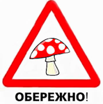 Обережно, гриби!