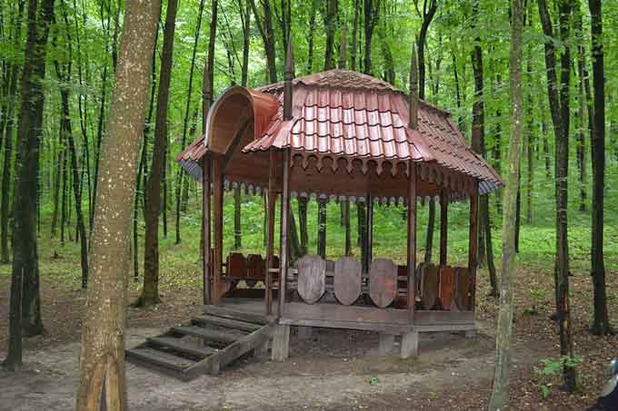 Кам'янські лісівники будують рекреаційні пункти