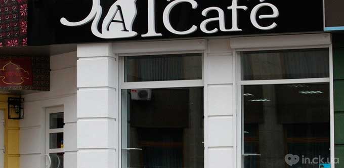«CatCafe» в Черкасах