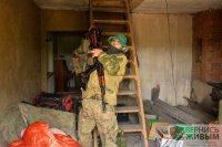 Агрессивные и дерзкие: новая армия Украины