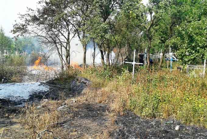 В Христиновском районе спасатели предотвратили распространение огня на кладбище