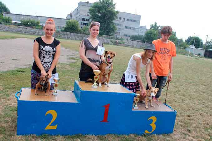 У Черкасах відбулась виставка безпородних собак