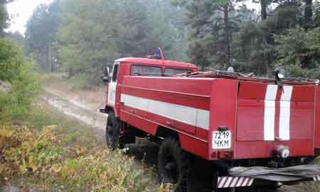 У Канівському районі рятувальники разом із лісниками ліквідували загорання в лісовому масиві