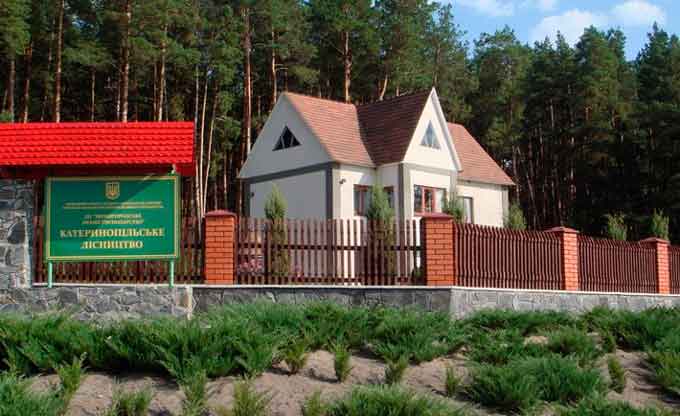 Катеринопільське лісництво, що входить до складу Звенигородського лісгоспу