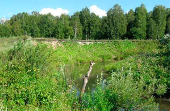 На Черкащині знижується рівень ґрунтових вод