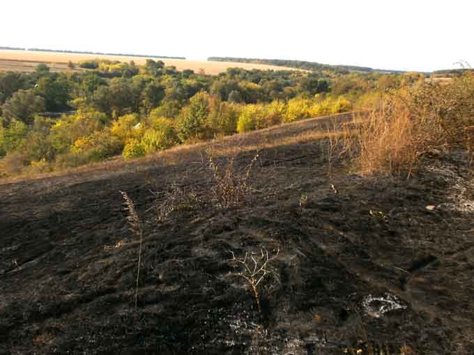 6 жовтня о 14:15 рятувальники отримали повідомлення про загорання, що сталося на полі кукурудзи коло села Лисича Балка. 