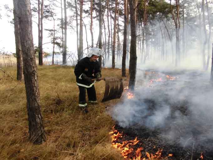За добу в області рятувальники ліквідували 6 пожеж в природних екосистемах (відео)