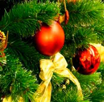 5 грудня відбудеться відкриття головної новорічної ялинки міста Черкаси