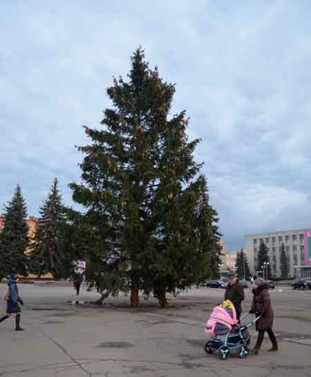 Хто заробив на смілянській ялинці?