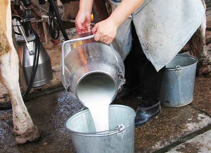 На Черкащині дорожчає “сільське” молоко