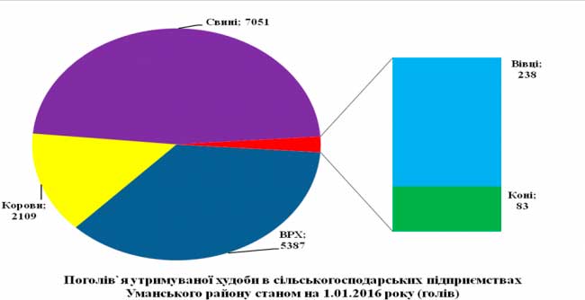 Поголів’я ВРХ утримуване в агроформуваннях