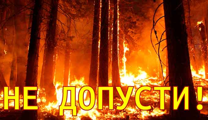 У лісах Черкащини триває пожежонебезпечний період – найскладніший та найвідповідальніший сезон для лісівників. Традиційно весна принесла масове спалювання населенням сухої трави, листя, очеретів, що наносить величезну шкоду довкіллю.