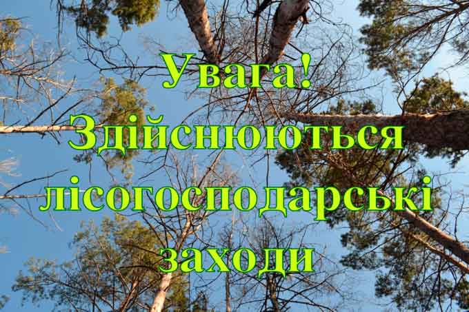 Лісівники Черкащини ознайомлюватимуть місцеву громаду із запланованою вирубкою лісу