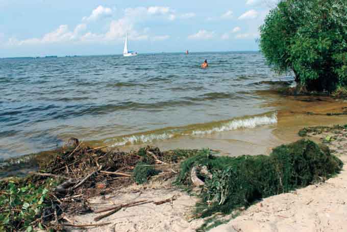 Купальний сезон по-черкаськи: зелені водорості, дохла риба і купи сміття