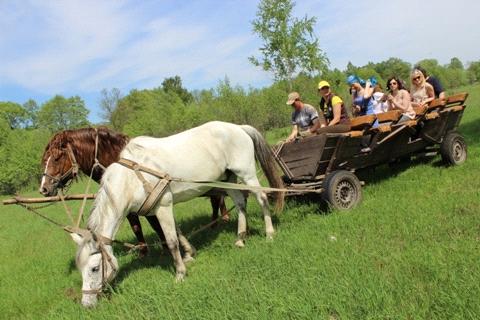 На Чорнобаївщині відновлено пільгове перевезення, але не всі перевізники погодилися