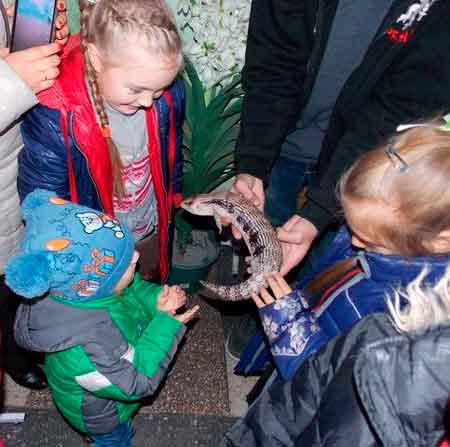 більше двадцяти родин, в яких виховуються дітки з особливими потребами відвідали виставку тропічних метеликів та хижаків, що проходить з 6 по 26 жовтня в приміщення міського Будинку культури
