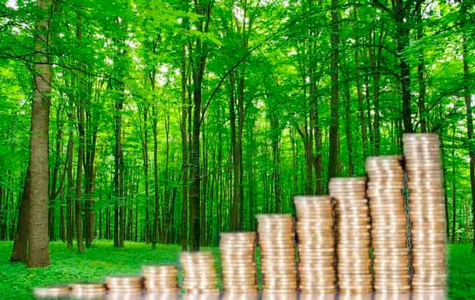 Протягом 2016 року лісгоспами Черкаського ОУЛМГ сплачено до зведеного бюджету 217,5 мільйонів гривень податків, зборів та обов'язкових платежів, що на 90,2 мільйона гривень більше, ніж у 2015 році.