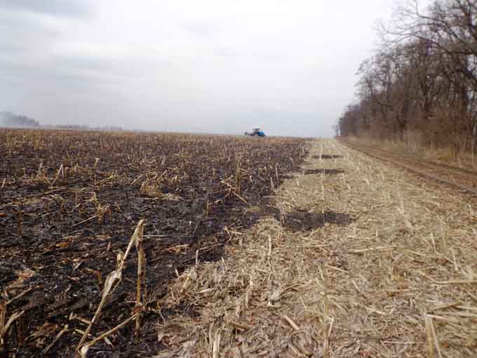 12 березня о 10:50 в селі Радиванівка виникла пожежа стерні кукурудзи на площі 20 га.