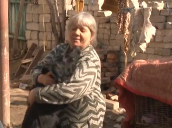 Відеорепортаж: смілянка у власному будинку прихистила близько сотні безпритульних тварин