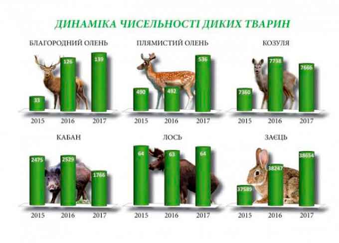 На Черкащині обліковували мисливських тварин – їхня кількість зростає