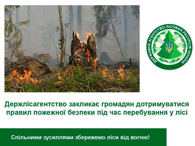 Держлісагентство закликає громадян дотримуватися правил пожежної безпеки під час перебування у лісі