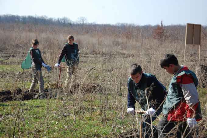 Вихованці школи-інтернату садили дуб у Шполянському лісництві