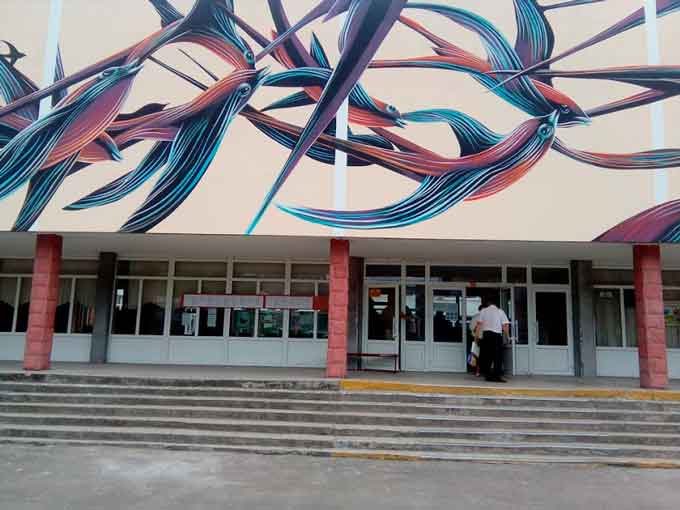 Португальський художник завершив роботу над малюнком на фасаді черкаської школи