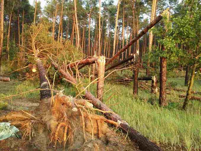 26 червня поблизу села Ліпляво на березі Канівського водосховища внаслідок ускладнення погодних умов та короткочасного буревію на один із туристичних наметів, де в цей час перебували 18 річна дівчина із товаришем, впало зламане дерево