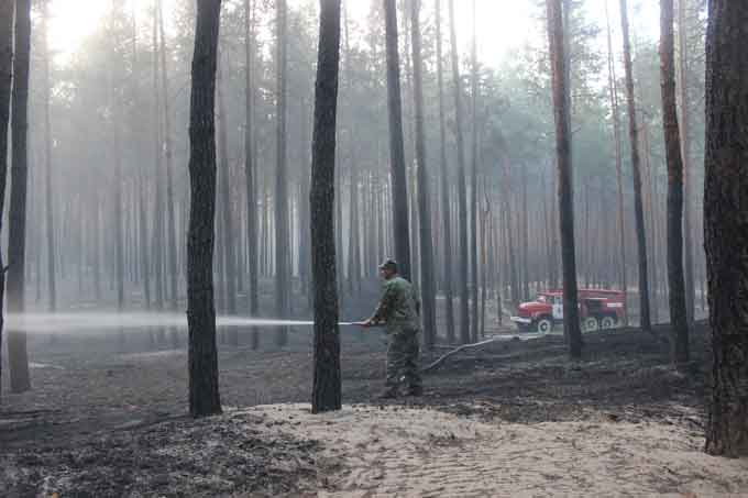 У Чигиринському районі рятувальники із лісниками запобігли масштабній лісовій пожежі (фото, відео)