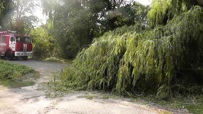 27 липня о 08:45 внаслідок несприятливих погодних умов на вулиці Некрасова в районному центрі впало велике дерево, яке повністю перекрило рух транспорту