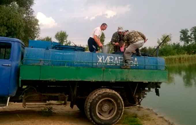 На Чорнобаївщині зариблюють річки (фото)