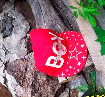При огляді місця події вилучено кепку червоного кольору з написом «BOY», що можливо належить зловмиснику.
