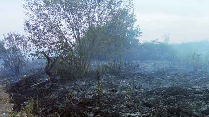 Рятувальники продовжують боротьбу із вогнем на території колишнього сміттєзвалища, яка сталася 7 серпня в адміністративних межах сільської ради села Вергуни.