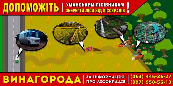 Уманський лісгосп пропонує винагороду за інформацію про лісокрадів