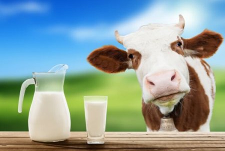 Експерт ділиться рецептом, як черкаським селянам заробити на молоці