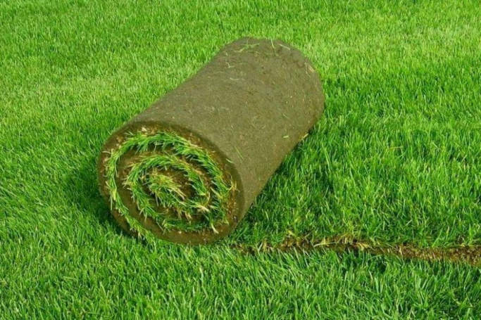 Чоловік вкрав газонну траву в рулонах із сільського стадіону в Золотоніському районі