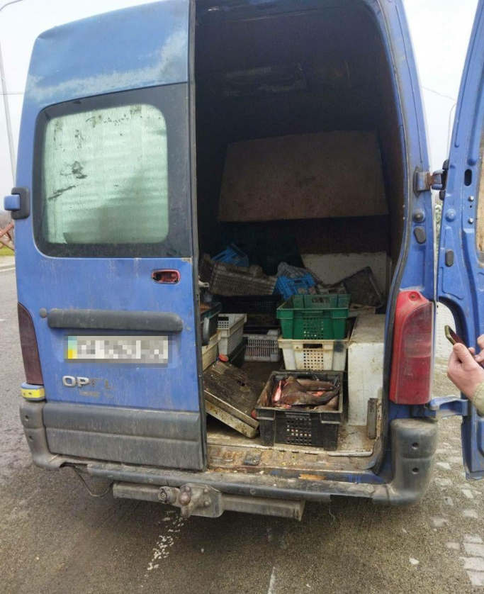Черкащанин намагався через блокпост перевезти понад 150 кг риби без документів (фото)