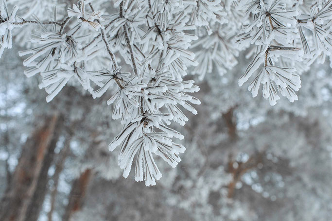 На Черкащині цього тижня синоптики прогнозують аномально холодну добу