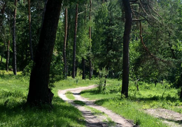 Парк природи Беремицьке – цікаві екскурсії для вас в будь-яку пору року