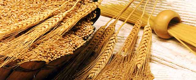 Черкащина – з першим мільйоном тонн зернових