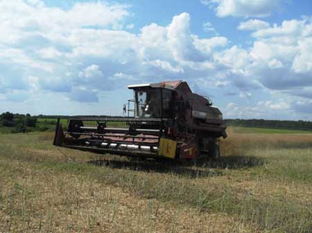 В Чорнобаївському районі активно проходить збирання ранніх зернових та зернобобових культур