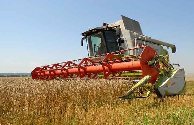 Цьогорічний врожай ранніх зернових є рекордним за всю історію України
